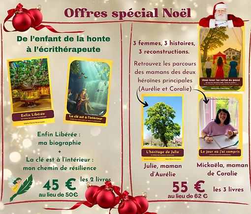 offre Noel.png