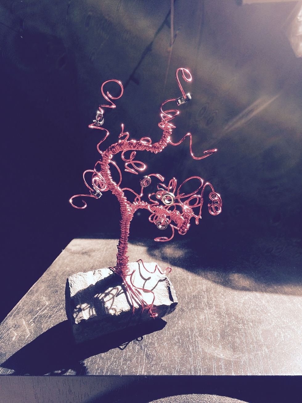 Thumbnail: Medusa Tree