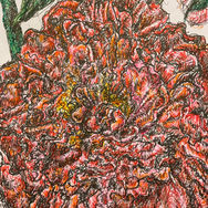 "Pink Dream" Ink on paper