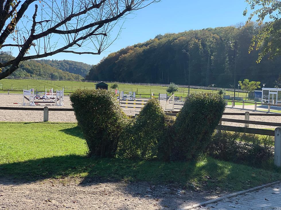 Reittturnier Waidhof