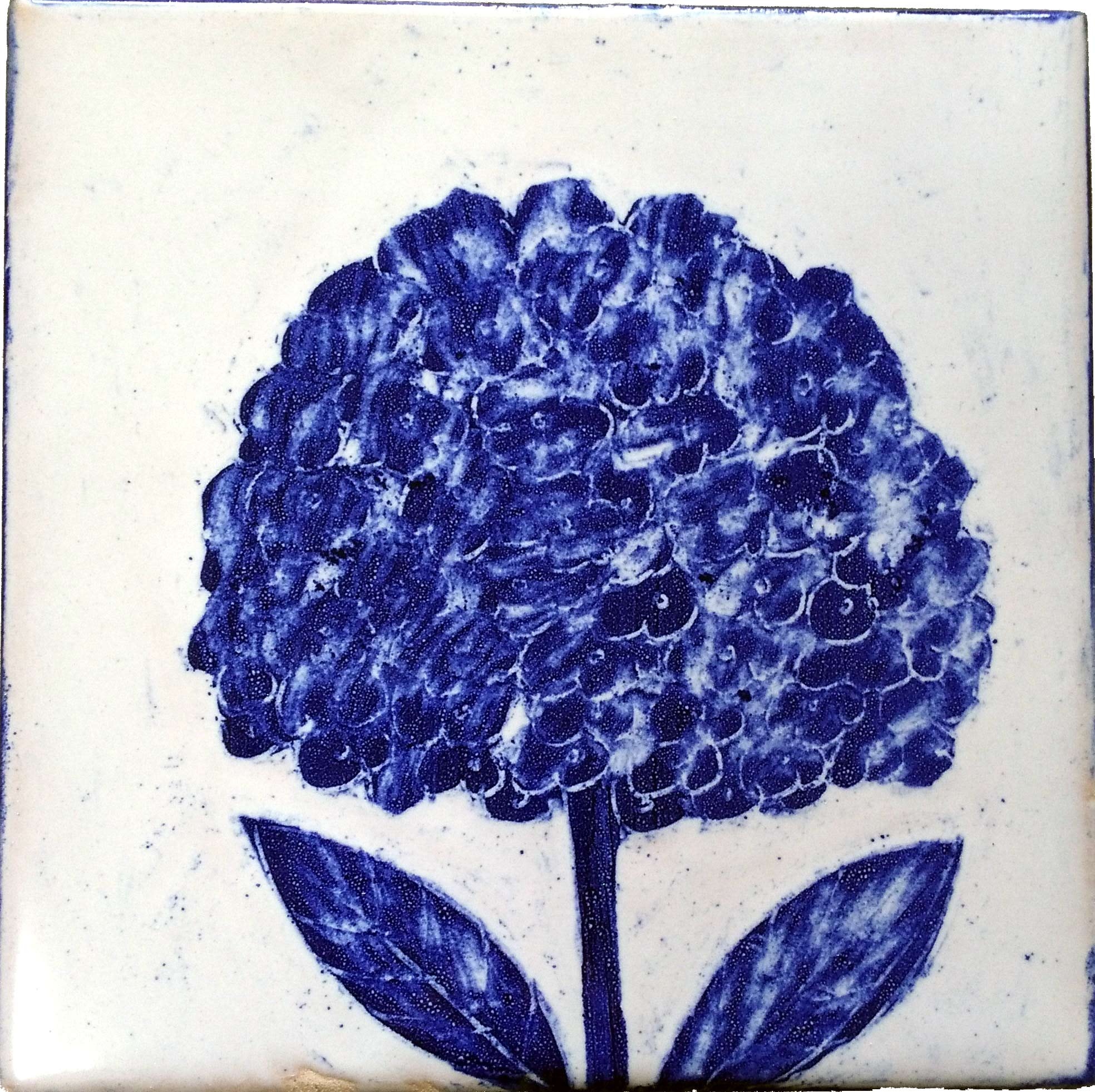 Hydrangea 2