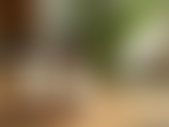 Embrace Holistic Skincare with Ether&Root's Herbal Offerings