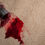 Thumbnail: Carpet Clean