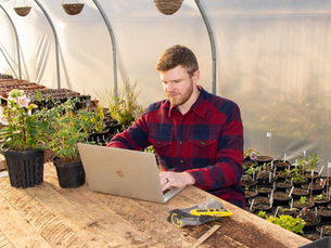 Nathan Cranston working on the Peachy Plants website from inside a polytunnel, combining physical growing with digital work