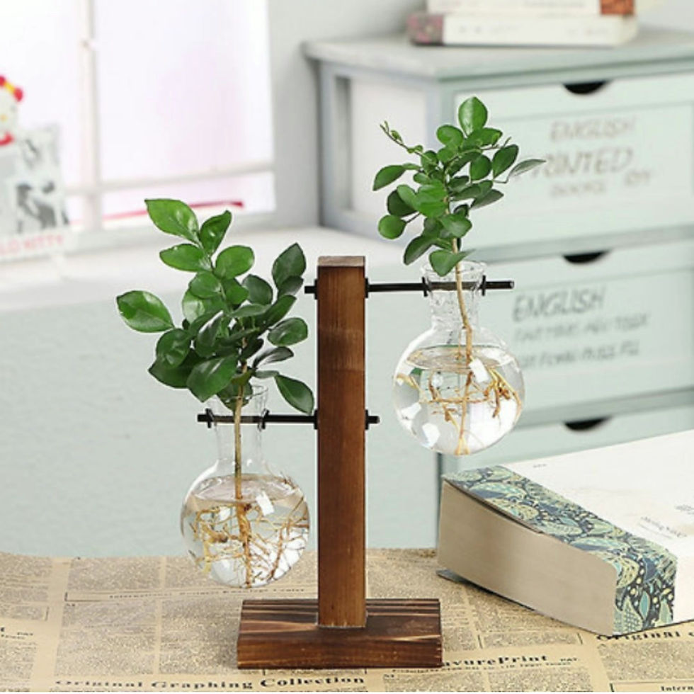 Thumbnail: Hydroponic Terrarium Glass Vases  Flower Pot Transparent Vase Wooden Frame