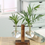 Thumbnail: Hydroponic Terrarium Glass Vases  Flower Pot Transparent Vase Wooden Frame