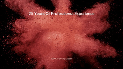 Copy of The Roamers Dozen Video.gif