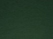 Tannengrün.webp