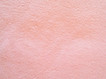 rosa.webp