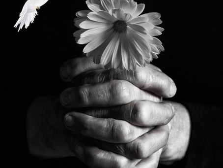 Perdre son père ou sa mère bouleverse l’enfant comme l’adulte. Comprendre les réactions de deuil et accompagner cette absence à tout âge.