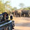 Miniatura: África do Sul – Cape Town e Safari – Karongwe Private Reserve. A partir de