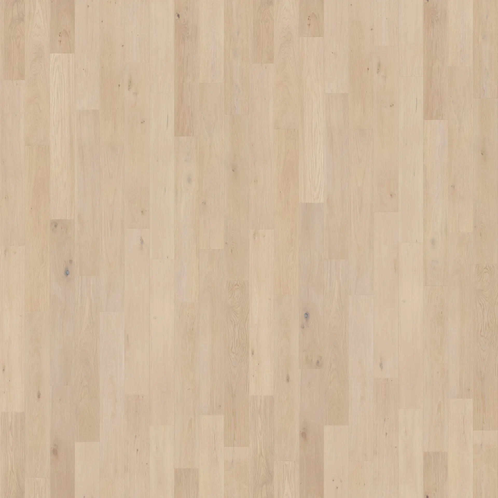 Pacifica 12MM - Vallemar Blanc