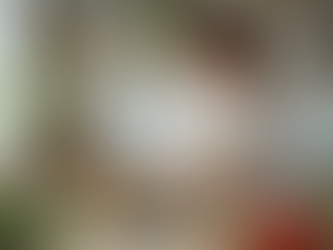 Balanced meal healthy eating habits