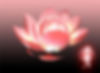 Fleur de lotus