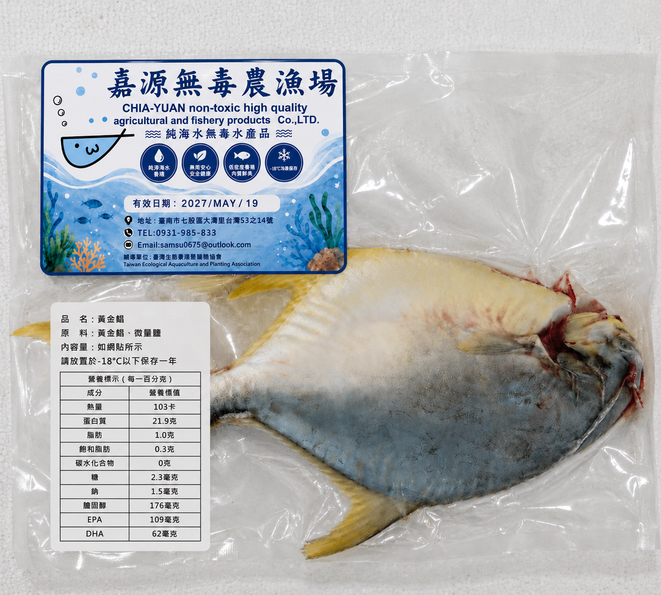 優質黃金鯧High Quality Golden Pomfret(550g±10%)