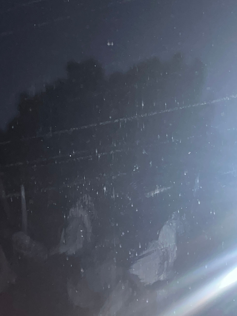 What is this a photo of?