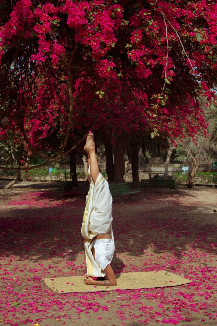 Méditation yoga au Lodi Garden, Delhi _ Jamini