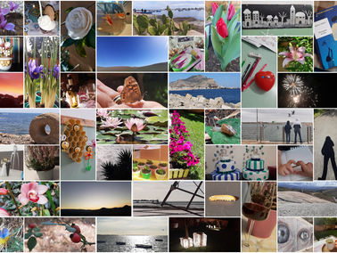 365 giorni a caccia di emozioni