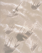 Vattendjurshälsning, 2023 (#4)