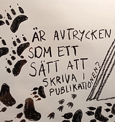 Att tänka om något som en publikation