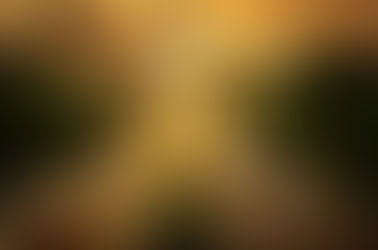 Holiday Travel: Navigating a Pandemic