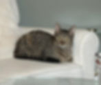 Bea 1.jpg