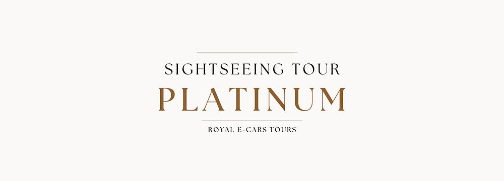 Platinum Sightseeing Tours in Vienna