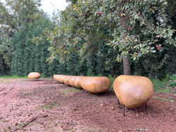 sculptural garden