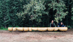 sculptural garden