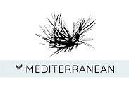 MEDITERRANEAN.jpg