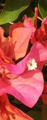 DSCN0296.JPG