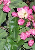 DSCN0337.JPG