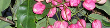 DSCN0337.JPG