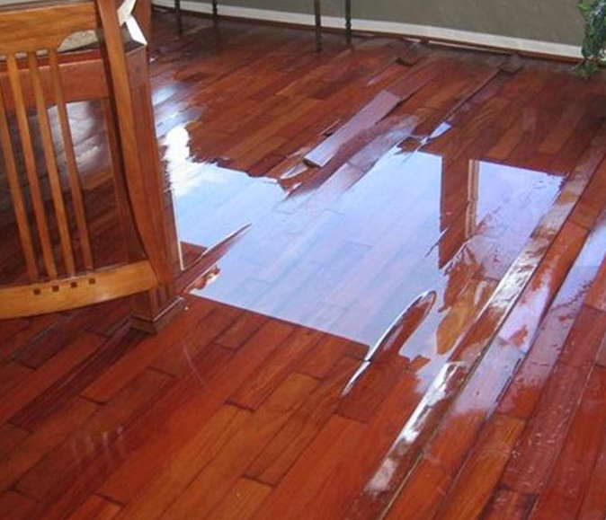 Hardwood Flooring Water Damage Repairs Hardwood Floors Specialists