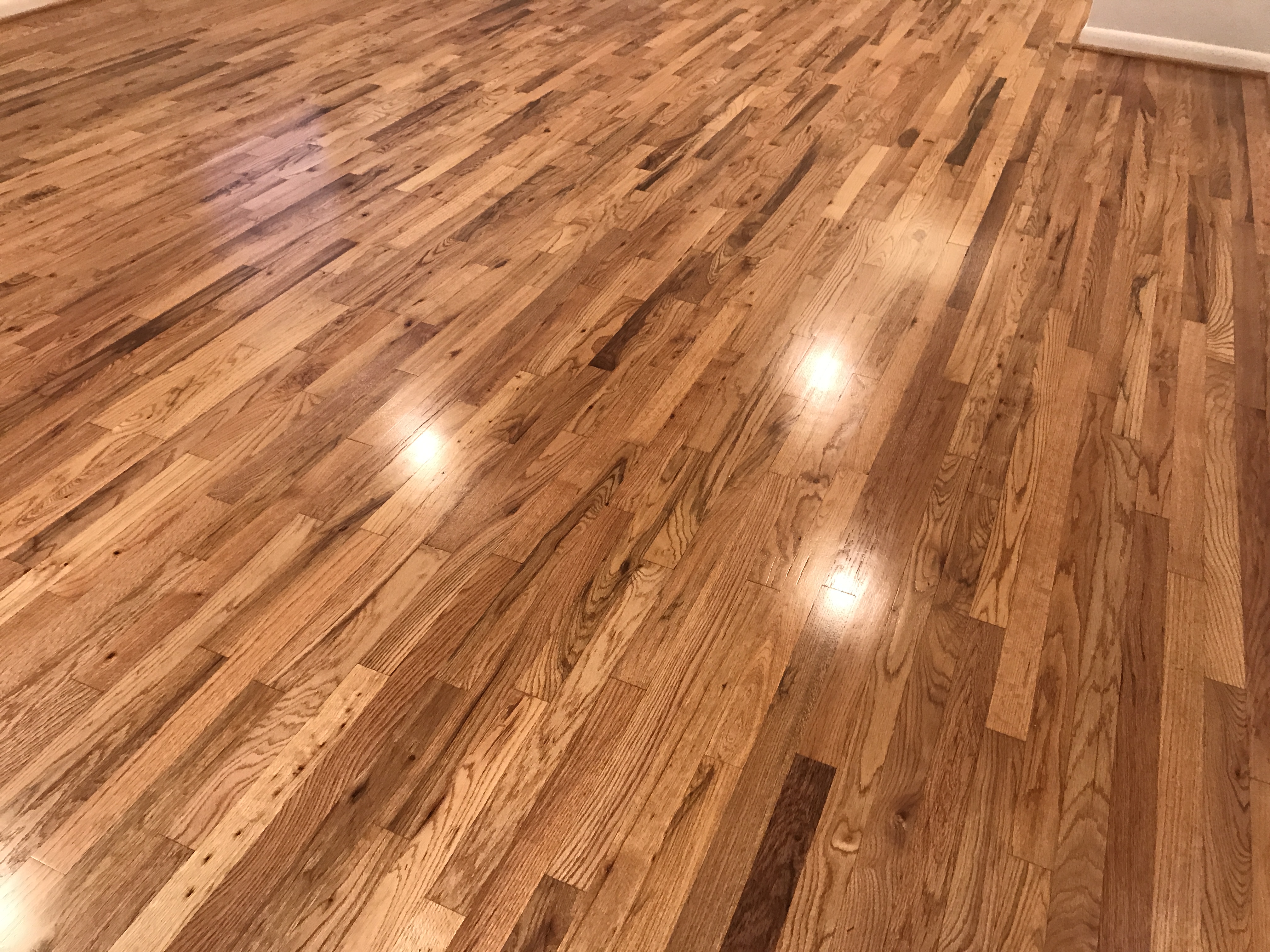 Wood floor refinishing