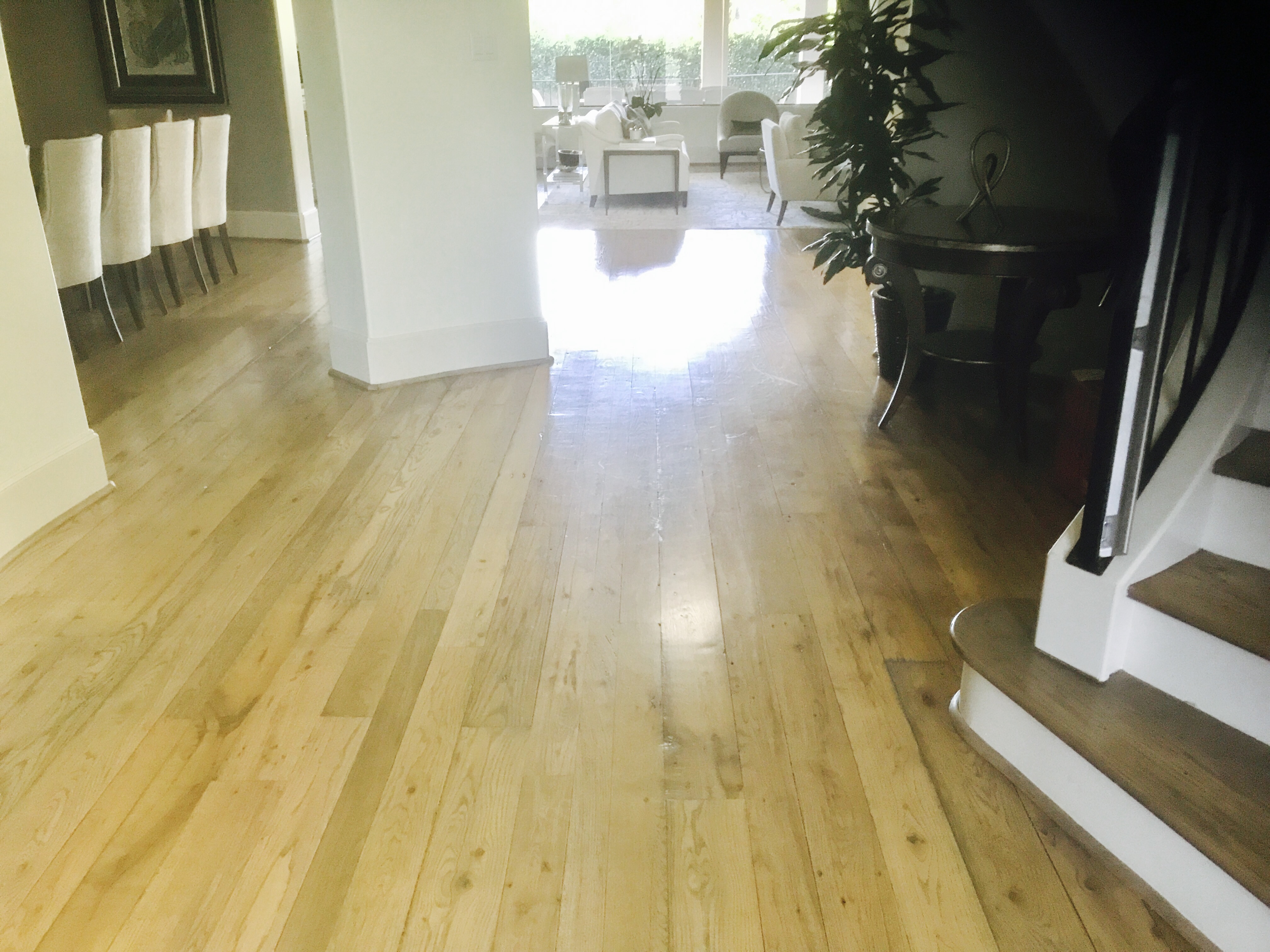 Wood floor refinishing