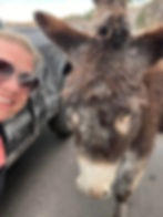 Selfie with Burro in Custer State Park