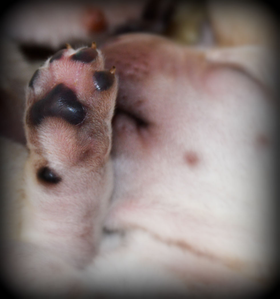 DSC_0611.jpg