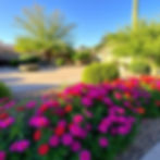 Wide angle view of a beautifully designed patio with comfortable seating and lush greenery