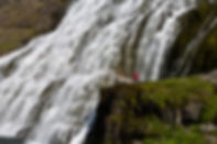Glymur, westfjords of iceland, latrabjarg, puffins, gay travel in iceland, gay friendly, gay friendly iceland, lgbt travel iceland, pink iceland, gay travel agency, gay tours, private tours