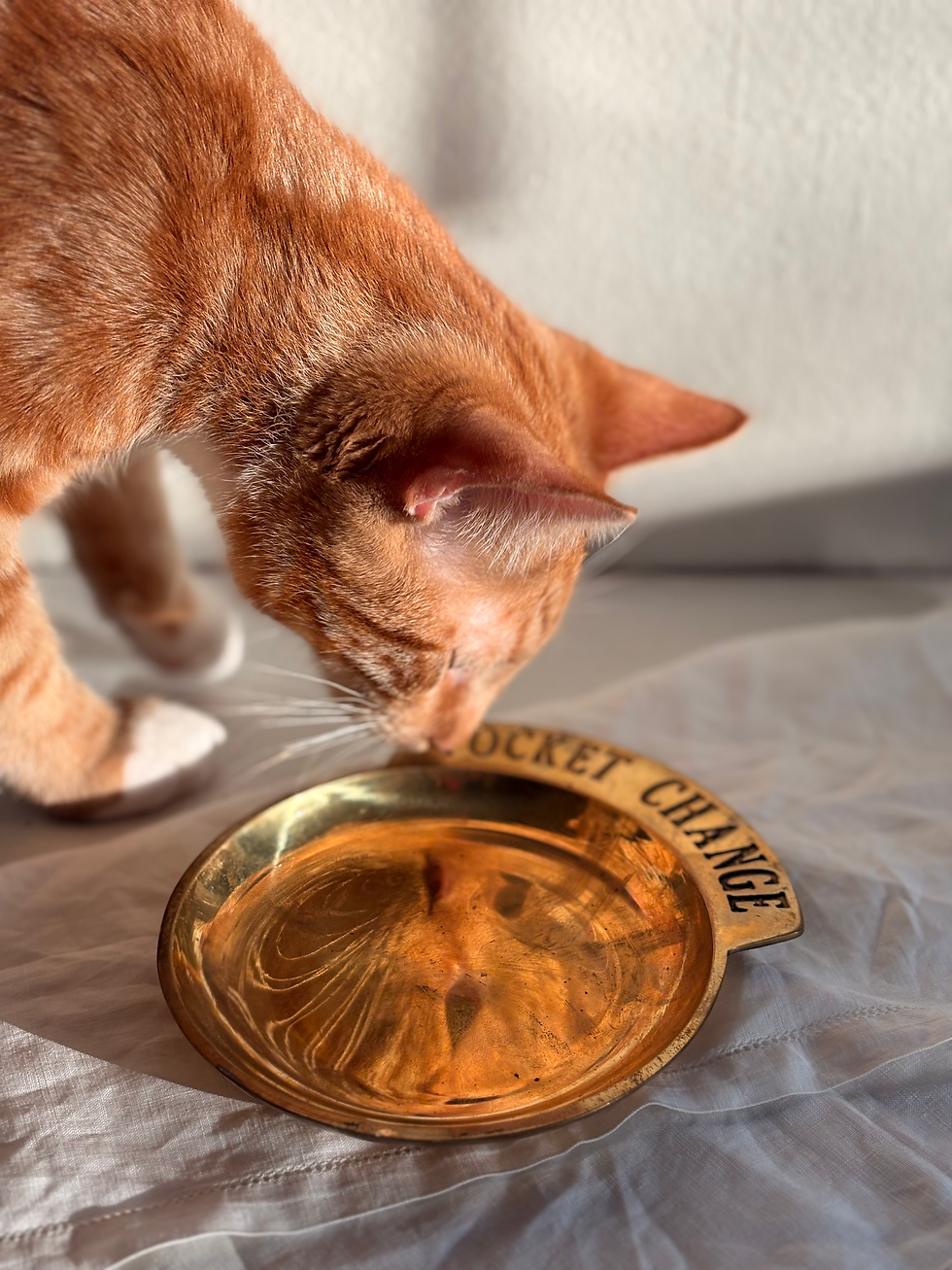 Thumbnail: Brass Pocket Change Dish