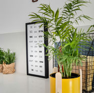 תכנון ועיצוב דירת קבלן בקרית אונו - אוסי כץ דגן