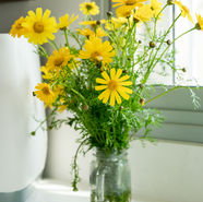 תכנון ועיצוב דירת קבלן בקרית אונו - אוסי כץ דגן