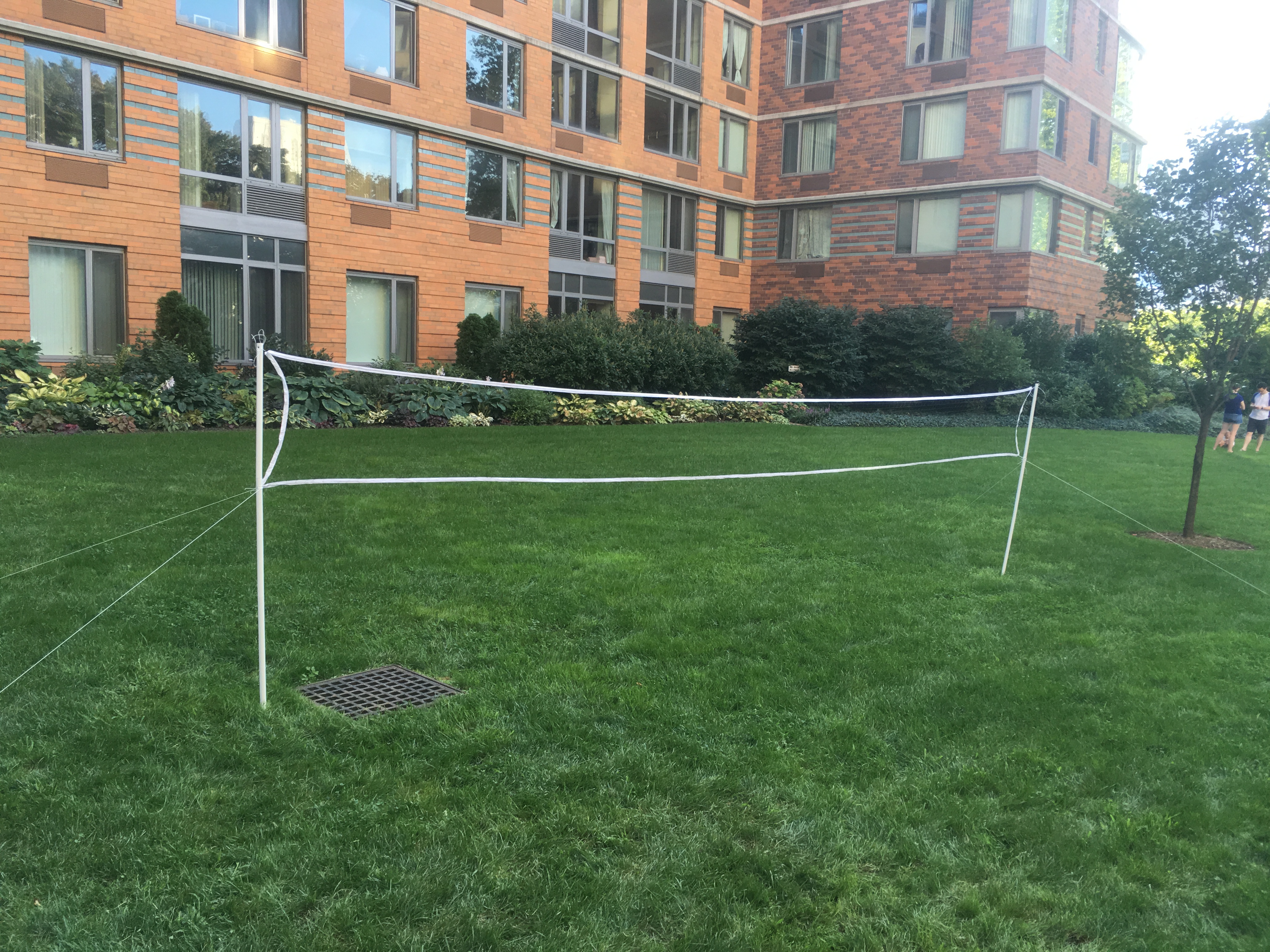Net is Set