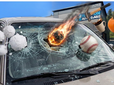The Strangest Things That Have Broken Windshields