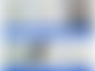 Rock Chip vs. Crack: What’s the Difference (and When $50 Saves Your Windshield)