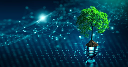 iStock-1312052836.jpg