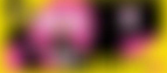 La Prima Squadra Maschile della Silver Sun al via: tutti al Palazzetto per il grande Esordio!