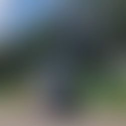 Accessoires pour chariot élévateur : guide complet pour améliorer votre productivité