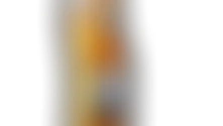 Japanese Lager